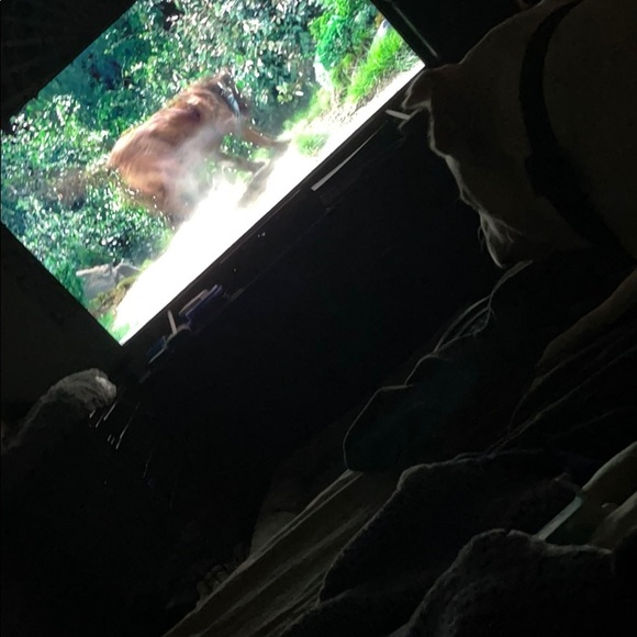 Meet your Posher, Jheri - Picture 1 of 1